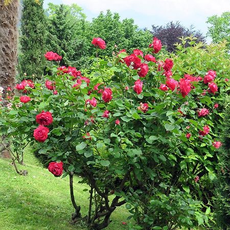 Bellagio Lake View Villa Oliveto Lario 外观 照片
