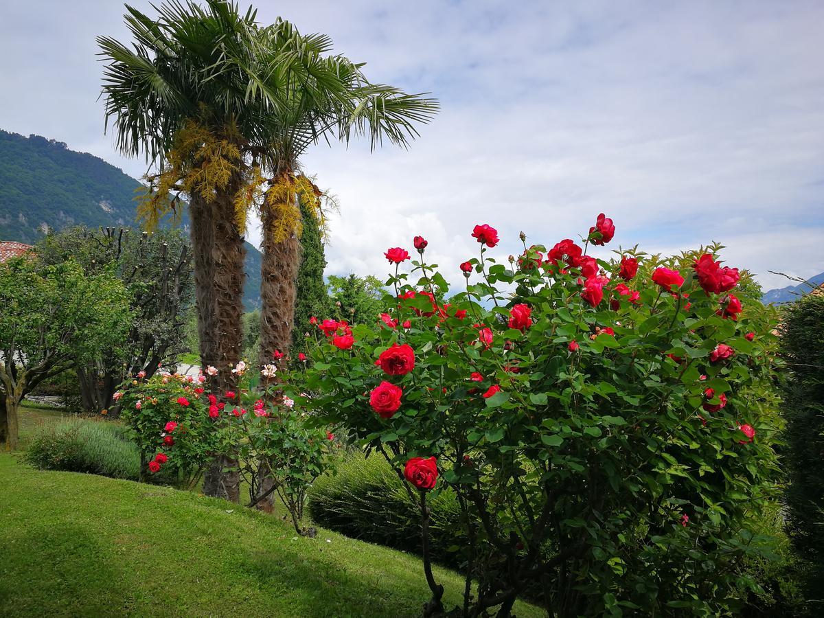 Bellagio Lake View Villa Oliveto Lario 外观 照片