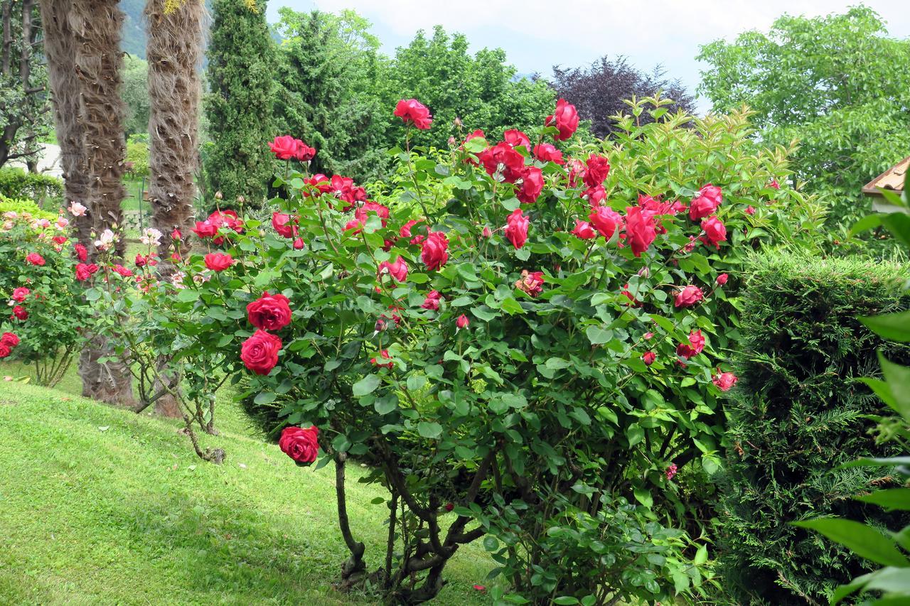 Bellagio Lake View Villa Oliveto Lario 外观 照片
