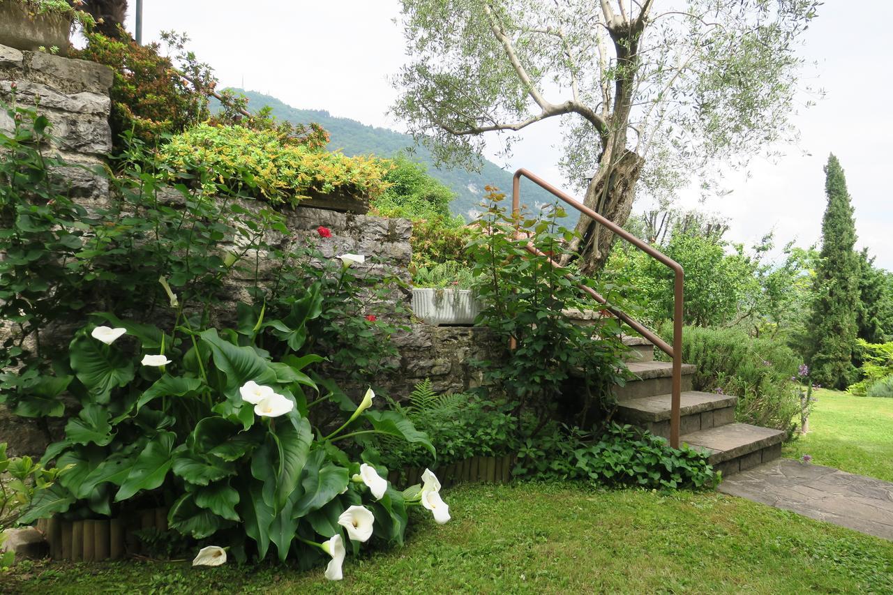 Bellagio Lake View Villa Oliveto Lario 外观 照片