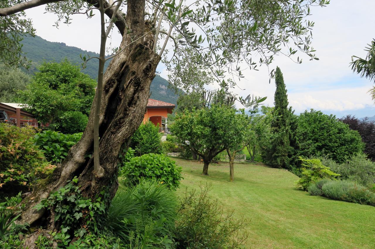 Bellagio Lake View Villa Oliveto Lario 外观 照片
