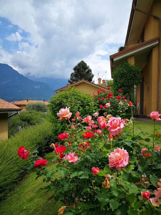 Bellagio Lake View Villa Oliveto Lario 外观 照片