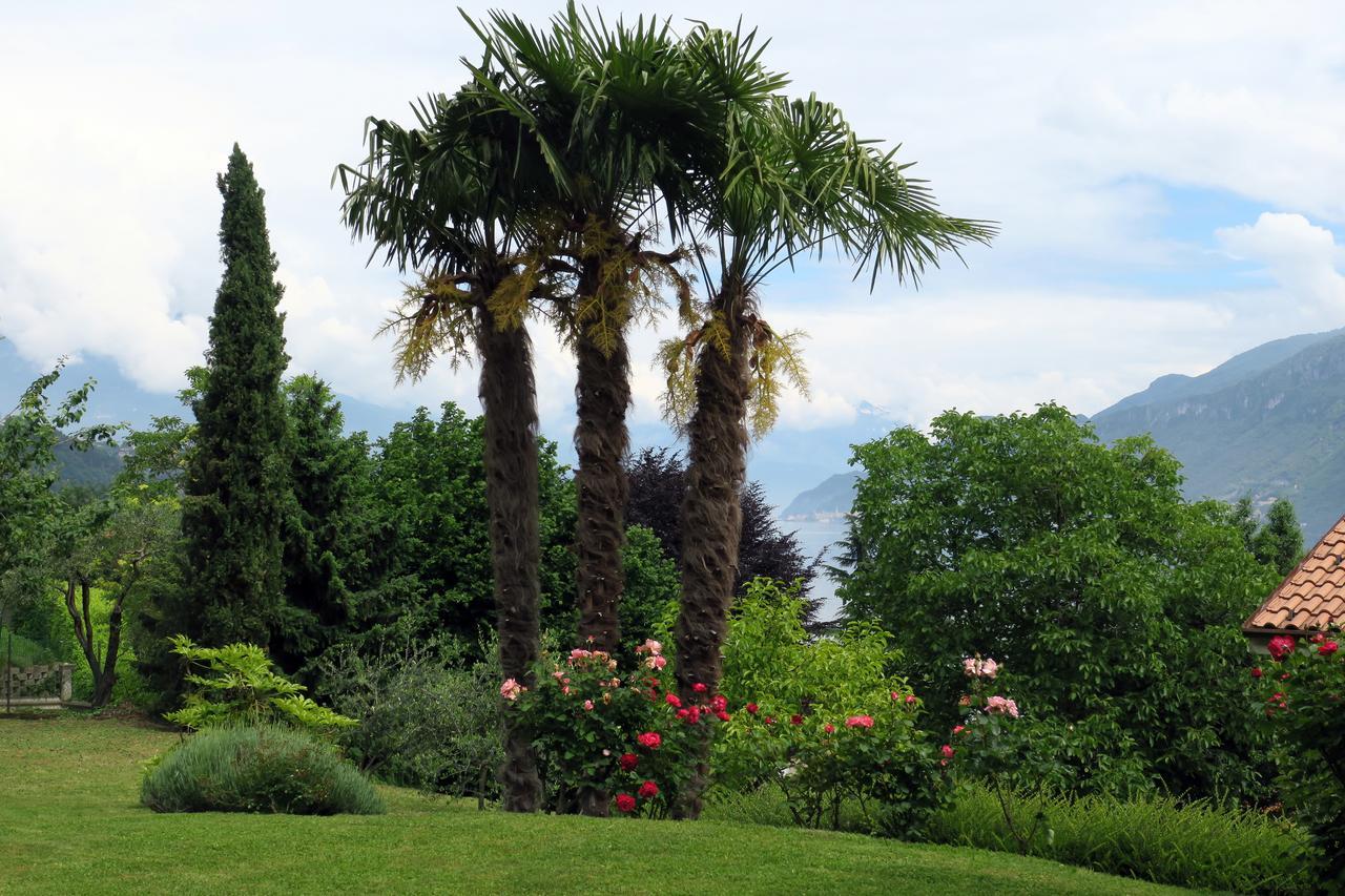 Bellagio Lake View Villa Oliveto Lario 外观 照片